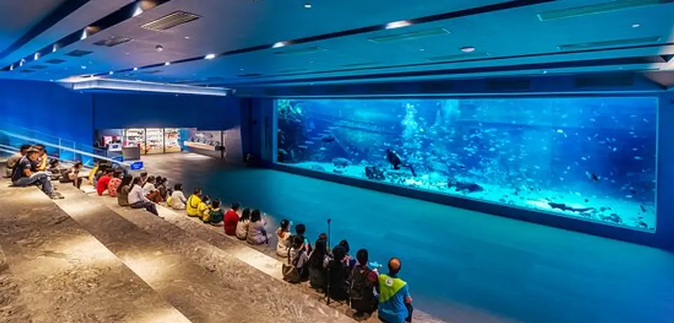 17f00958-6d54-4164-847c-21886b436411-here-is-where-the-mermaid.jpg