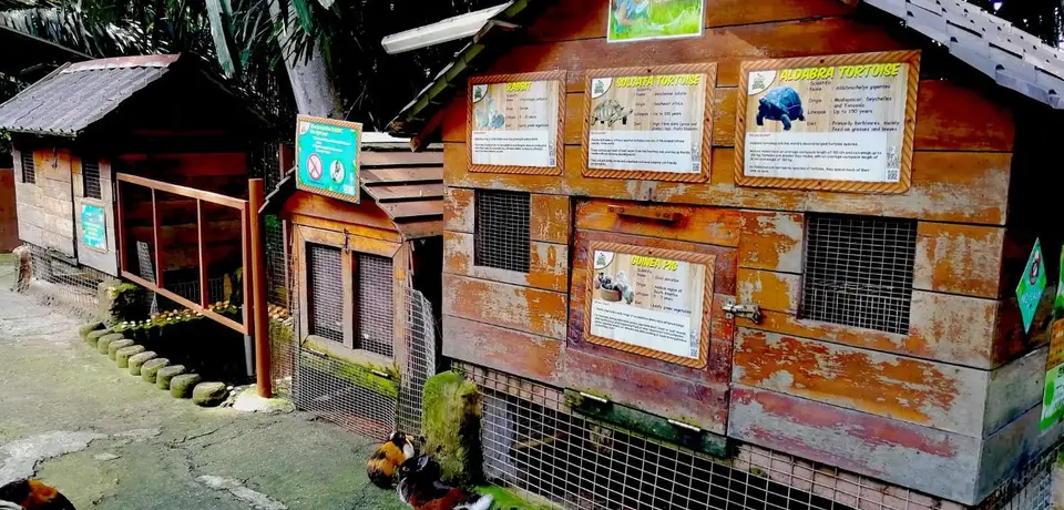 37bac315-d291-4d33-9052-307c71bd42e5-KLTowerMiniZoo-KlookMalaysia.jpg