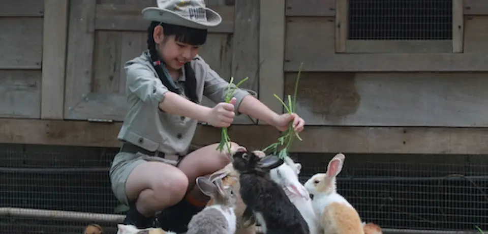 71d1ac01-5d28-46ad-8d7a-5b098d2486aa-kl-tower-mini-zoo-768x512@2x.jpg