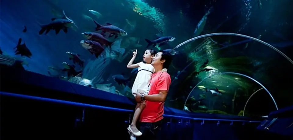 d67d45fe-9028-4312-9800-fef79cd2f71d-underwater-world-pattaya-website.jpg