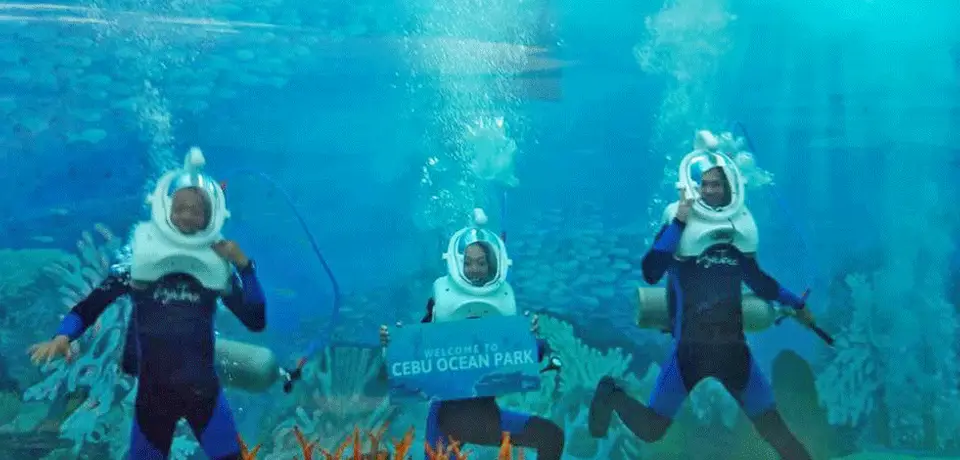 f0d40a79-1514-4fa2-9bfd-a01be904569f-staffpic-cebu.png
